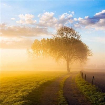 加拿大pc入口下载手机版